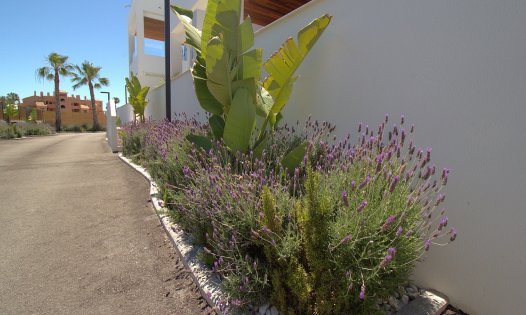 Resale - Apartments -
Alcázares, Los - La Serena Golf - Los Alcázares