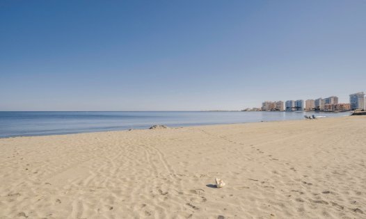 Langfristige Vermietung - Wohnungen -
Cartagena - La Manga