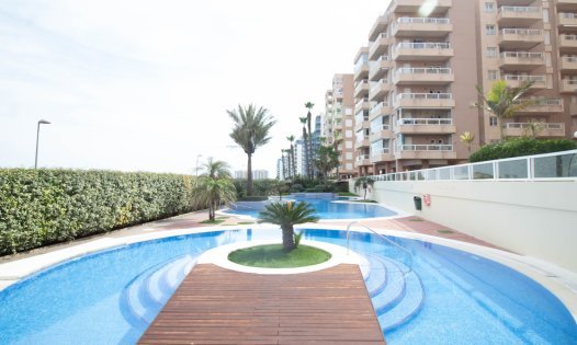 Wiederverkauf - Wohnungen -
La Manga