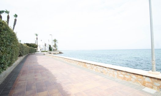 Wiederverkauf - Wohnungen -
La Manga