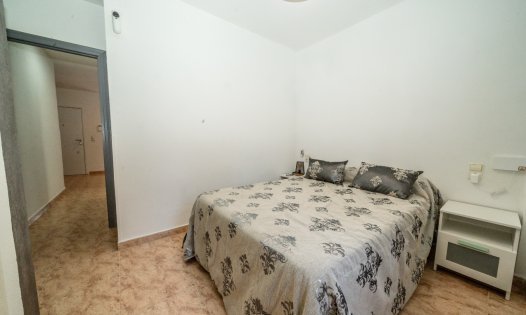 Långtidsuthyrning - Lägenheter -
Torrevieja