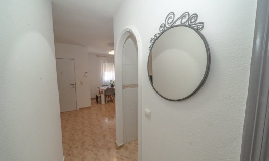 Långtidsuthyrning - Lägenheter -
Torrevieja