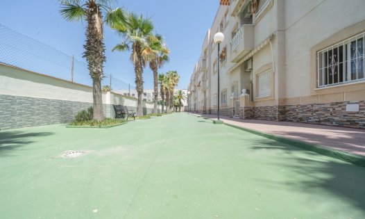 Långtidsuthyrning - Lägenheter -
Torrevieja
