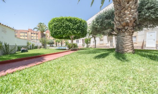 Långtidsuthyrning - Lägenheter -
Torrevieja