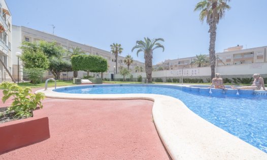 Långtidsuthyrning - Lägenheter -
Torrevieja