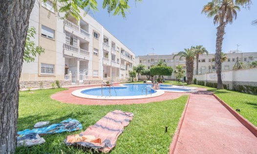 Långtidsuthyrning - Lägenheter -
Torrevieja