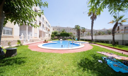 Långtidsuthyrning - Lägenheter -
Torrevieja