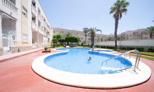 Långtidsuthyrning - Lägenheter -
Torrevieja