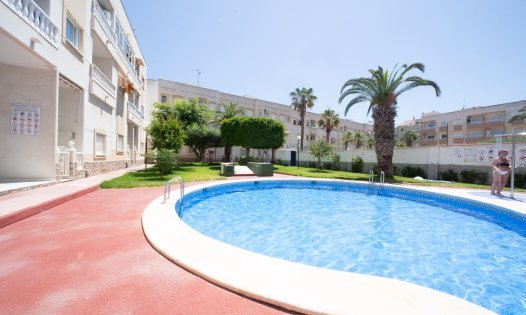 Långtidsuthyrning - Lägenheter -
Torrevieja
