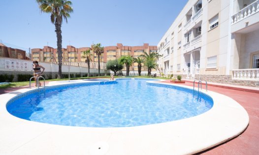 Långtidsuthyrning - Lägenheter -
Torrevieja