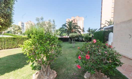 Short Term Rental - Apartments -
Orihuela Costa - Dehesa de Campoamor