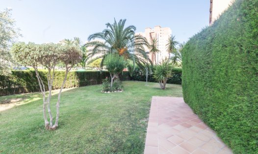 Short Term Rental - Apartments -
Orihuela Costa - Dehesa de Campoamor