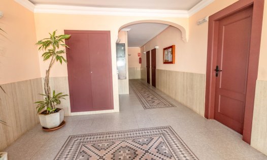 Short Term Rental - Apartments -
Orihuela Costa - Dehesa de Campoamor