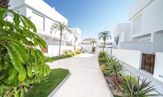 Resale - Apartments -
Pilar de la Horadada