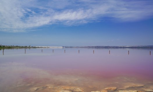 Videresalg - Villaer -
Torrevieja - La Torreta - Torrevieja