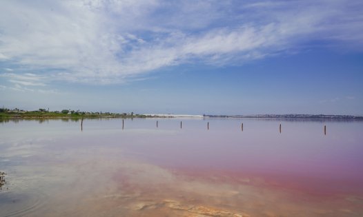 Videresalg - Villaer -
Torrevieja - La Torreta - Torrevieja