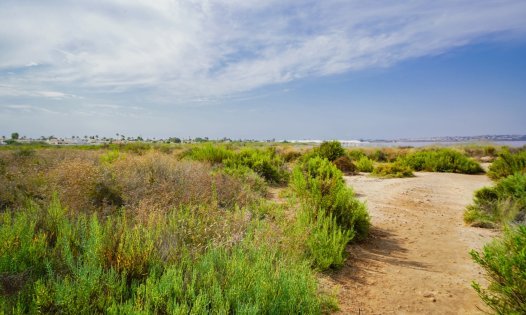 Videresalg - Villaer -
Torrevieja - La Torreta - Torrevieja