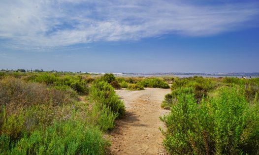 Videresalg - Villaer -
Torrevieja - La Torreta - Torrevieja