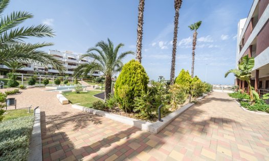 Resale - Penthouses -
Orihuela Costa - Lomas de Cabo Roig
