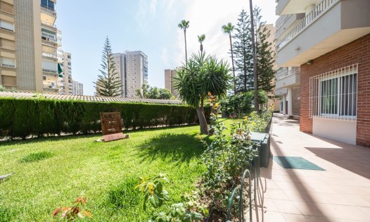 Long Term Rental - Studio apartments -
Orihuela Costa - Dehesa de Campoamor