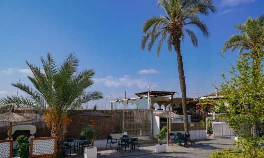 Resale - Penthouses -
Torrevieja - Centro - Torrevieja