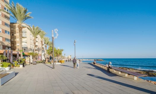 Revente - Appartements -
Torrevieja - Centro - Torrevieja