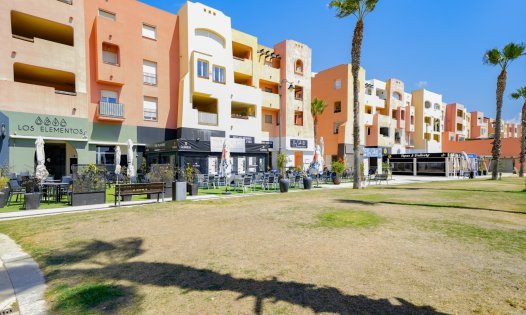Segunda mano - Apartamentos -
Torre-Pacheco