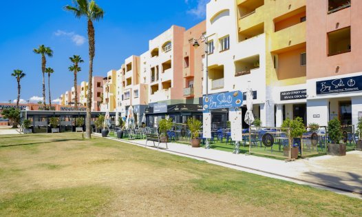 Segunda mano - Apartamentos -
Torre-Pacheco