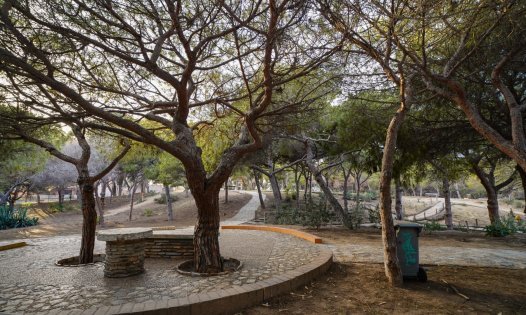 New Build - Apartments -
Guardamar del Segura