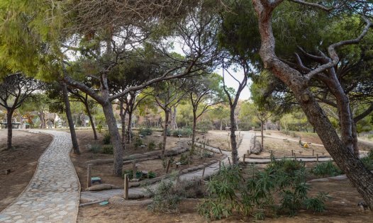 New Build - Apartments -
Guardamar del Segura