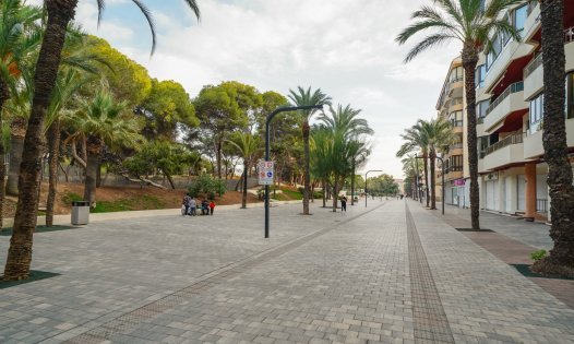 New Build - Apartments -
Guardamar del Segura