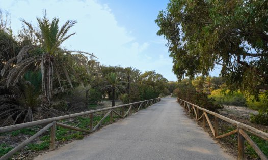 New Build - Apartments -
Guardamar del Segura