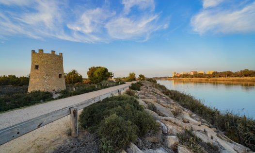 New Build - Apartments -
Guardamar del Segura
