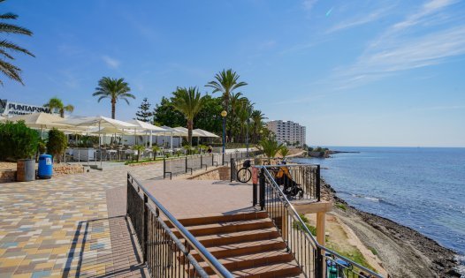 Segunda mano - Apartamentos -
Torrevieja - Punta Prima