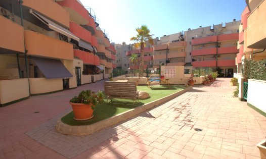 Revente - Appartements -
Algorfa