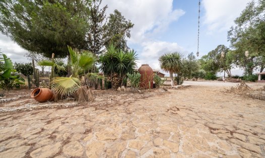 Segunda mano - Casas de campo -
Cartagena