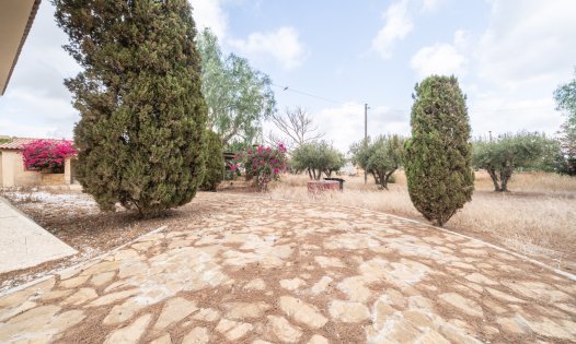 Segunda mano - Casas de campo -
Cartagena