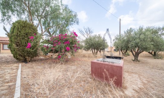 Segunda mano - Casas de campo -
Cartagena