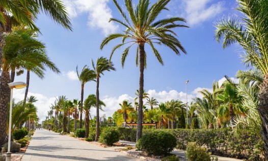 Återförsäljning - Bungalows -
Los Urrutias