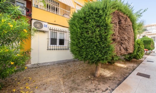 Segunda mano - Bungalows -
Torrevieja - La Veleta - Torrevieja