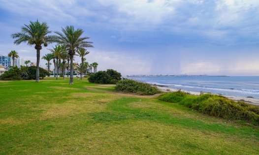 Segunda mano - Bungalows -
Torrevieja - La Veleta - Torrevieja