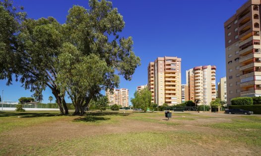 Resale - Penthouses -
Orihuela Costa - Dehesa de Campoamor