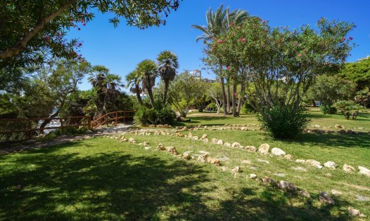 Resale - Penthouses -
Orihuela Costa - Dehesa de Campoamor