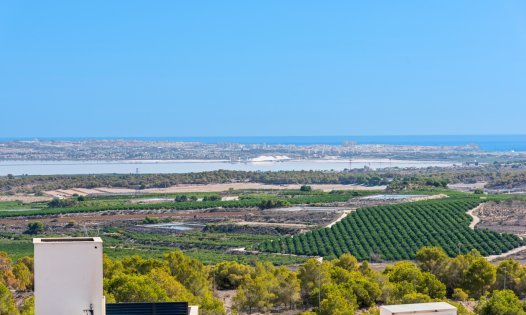 New Build - Bungalows -
San Miguel de Salinas