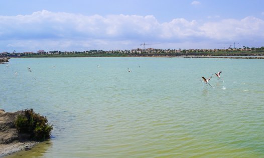 Segunda mano - Villas -
San Pedro del Pinatar