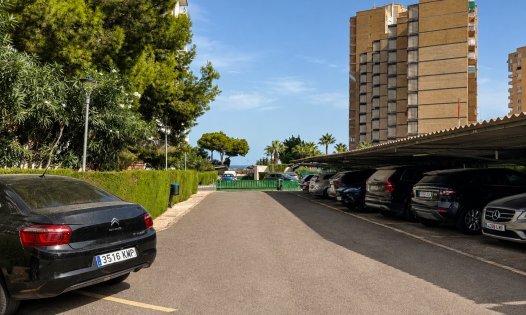 Lange Termijn Verhuur - Appartementen -
Orihuela Costa - Dehesa de Campoamor