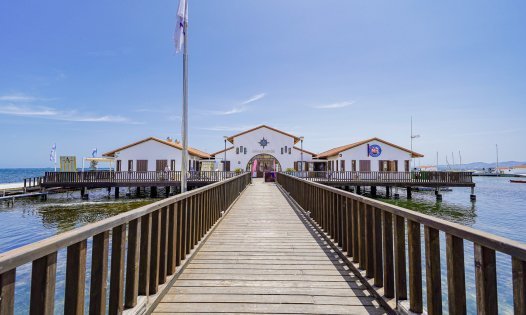 New Build - Bungalows -
Torre-Pacheco - Santa Rosal&iacute;a Lake and Life Resort