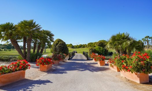 Wiederverkauf - Bungalows -
Pilar de la Horadada