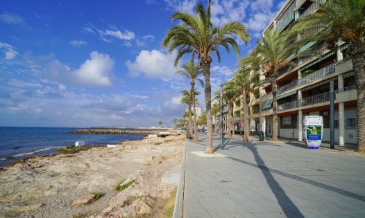 Long Term Rental - Apartments -
Torrevieja - Playa del Cura - Torrevieja