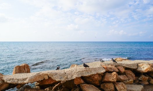 Long Term Rental - Apartments -
Torrevieja - Playa del Cura - Torrevieja